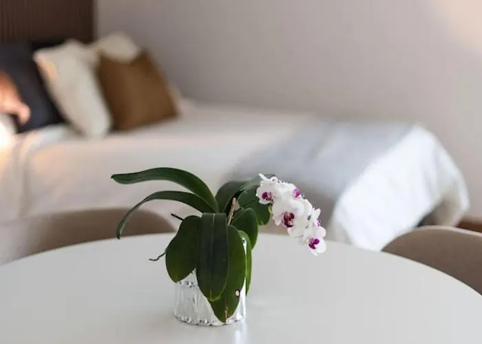 Amazing Loft Roma Nte With Ac And Rooftop Mexico City