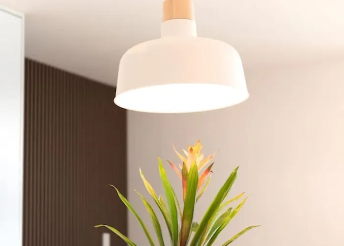 Amazing Loft Roma Nte With Ac And Rooftop